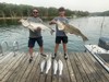(08/03/2025) - Nice Striped Bass