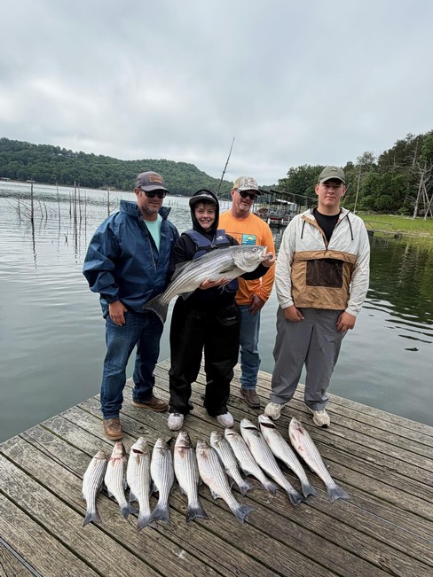 Nice Striped Bass