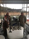 (03/11/2017) - Nice Striped Bass