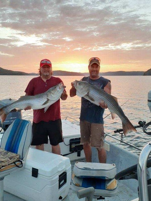 Nice Striped Bass