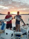 (08/10/2020) - Nice Striped Bass