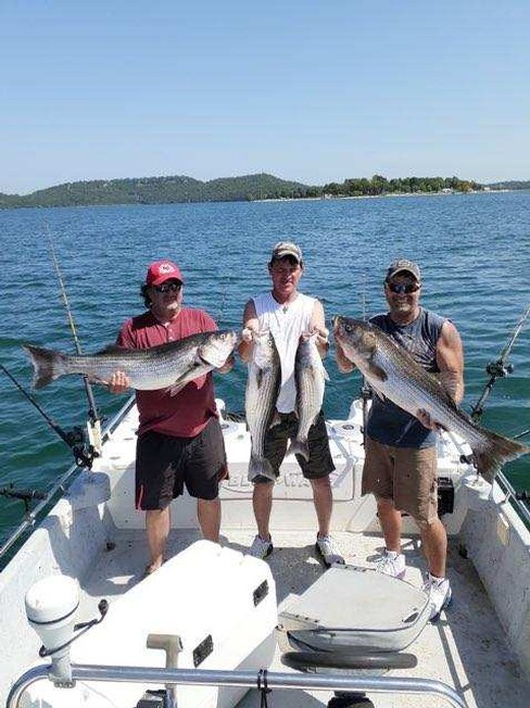 Nice Striped Bass