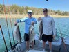 (03/26/2026) - Nice Striped Bass