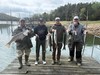 (04/04/2026) - Nice Striped Bass