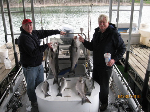 Nice Striped Bass