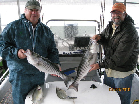 Nice Striped Bass