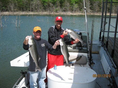 Nice Striped Bass