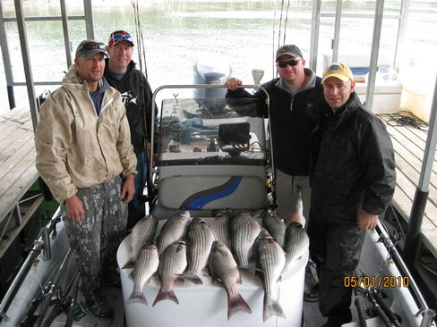 Nice Striped Bass