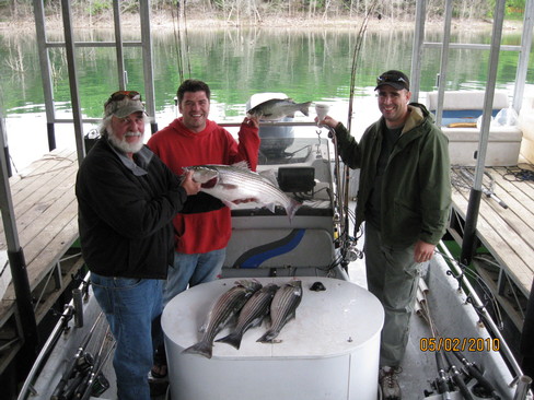 Nice Striped Bass