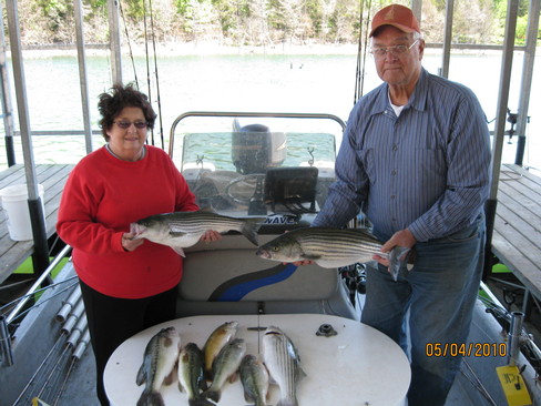 Nice Striped Bass