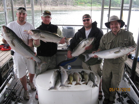 Nice Striped Bass