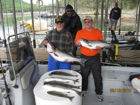 Nice Striped Bass