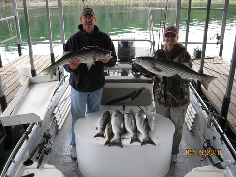 Nice Striped Bass