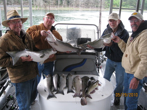 Nice Striped Bass