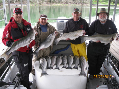 Nice Striped Bass