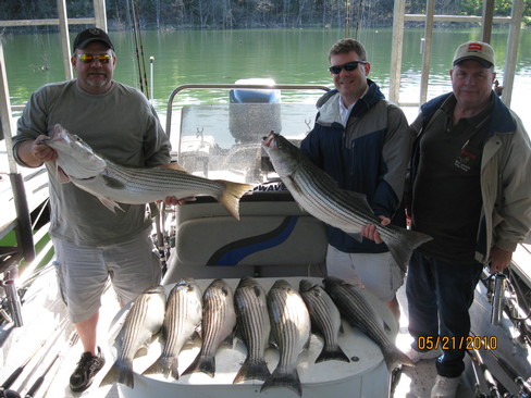 Nice Striped Bass