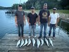 (04/26/2026) - Nice Striped Bass
