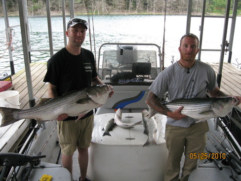Nice Striped Bass