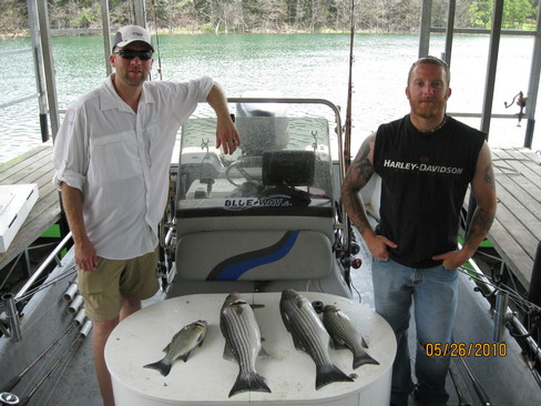 Nice Striped Bass