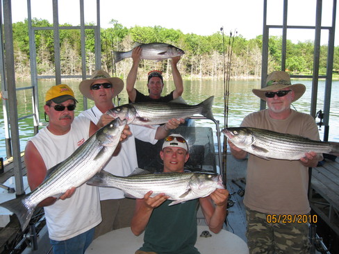 Nice Striped Bass