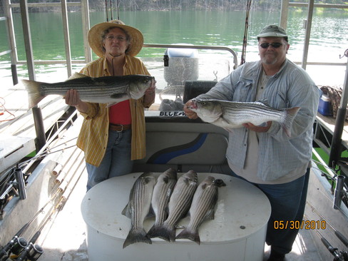 Nice Striped Bass