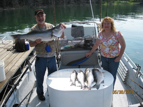 Nice Striped Bass