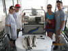 (05/30/2010) - Nice Striped Bass
