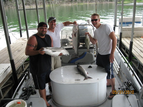 Nice Striped Bass