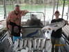 (06/03/2010) - Nice Striped Bass
