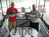 (06/04/2010) - Nice Striped Bass