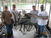 (06/05/2010) - Nice Striped Bass