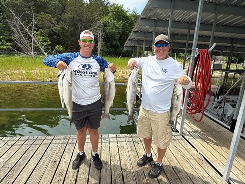 Nice Striped Bass