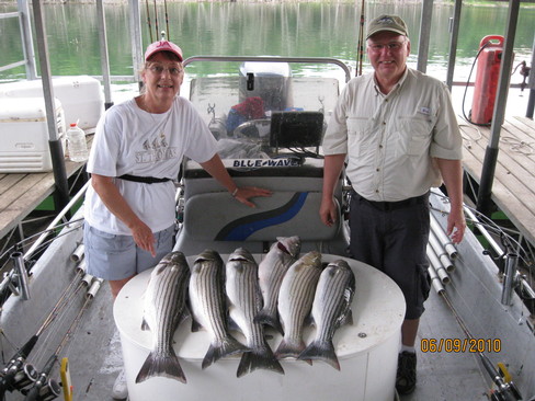 Nice Striped Bass