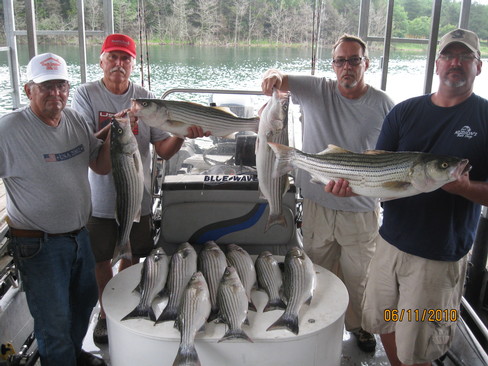 Nice Striped Bass