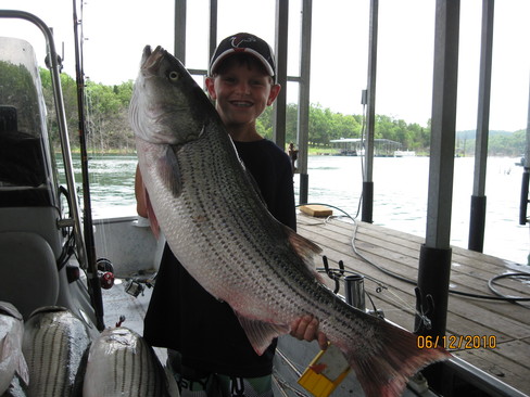 Nice Striped Bass