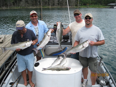 Nice Striped Bass