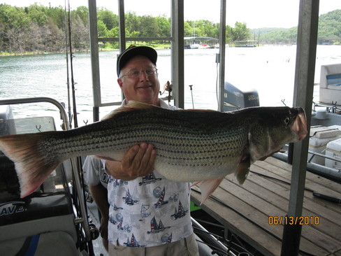 Nice Striped Bass