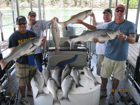 Nice Striped Bass