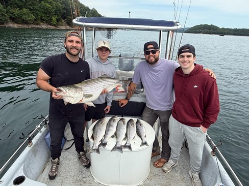 Nice Striped Bass