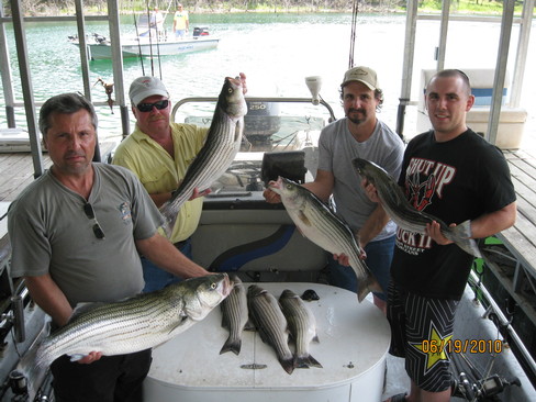 Nice Striped Bass