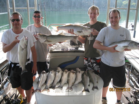 Nice Striped Bass