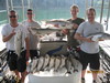 (06/22/2010) - Nice Striped Bass