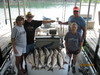 (06/22/2010) - Nice Striped Bass