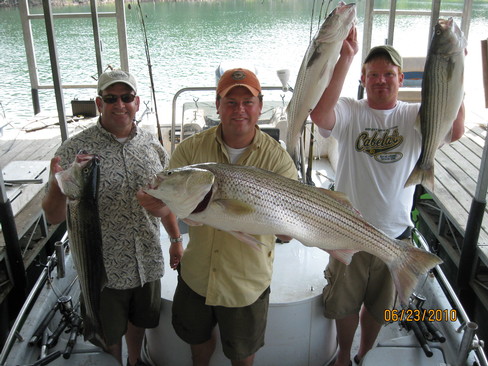 Nice Striped Bass