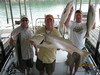 (06/23/2010) - Nice Striped Bass