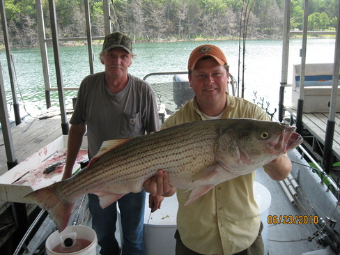 Nice Striped Bass