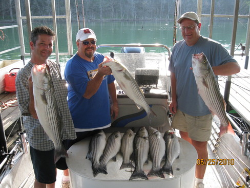 Nice Striped Bass