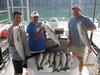 (06/25/2010) - Nice Striped Bass