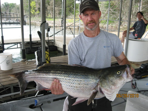 Nice Striped Bass