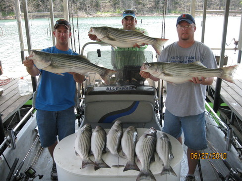 Nice Striped Bass